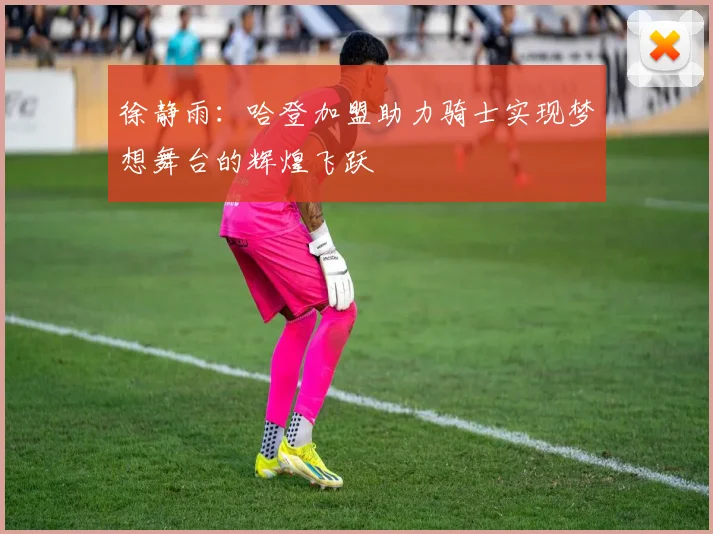 徐静雨：哈登加盟助力骑士实现梦想舞台的辉煌飞跃
